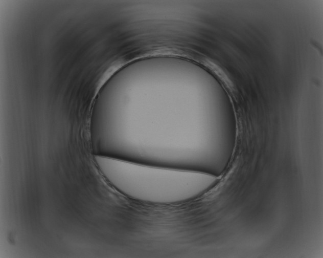 X0000096651097200802050928