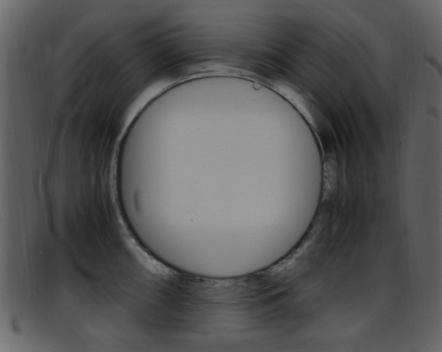 X0000096651098200802050928