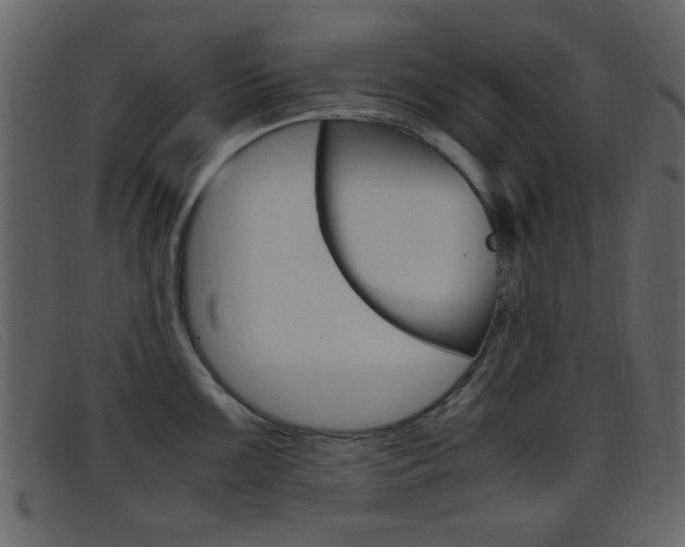 X0000096651099200802050928