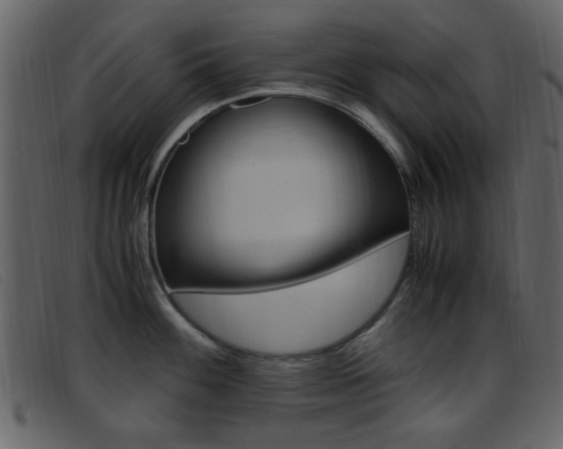 X0000096651100200802050928