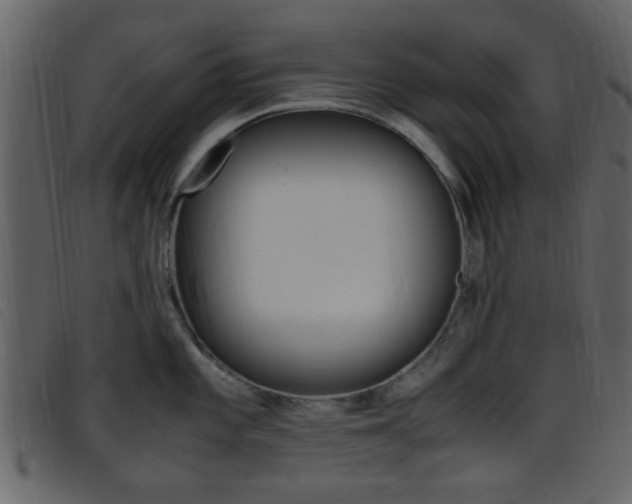 X0000096651101200802050928