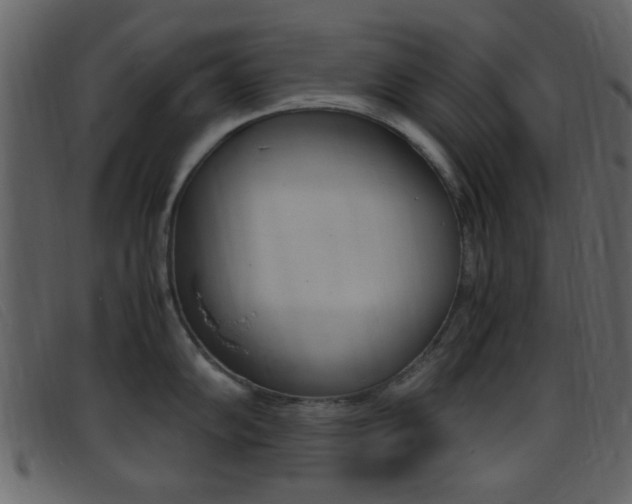 X0000096651102200802050928