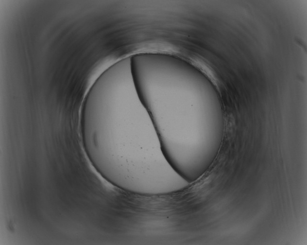 X0000096651103200802050928