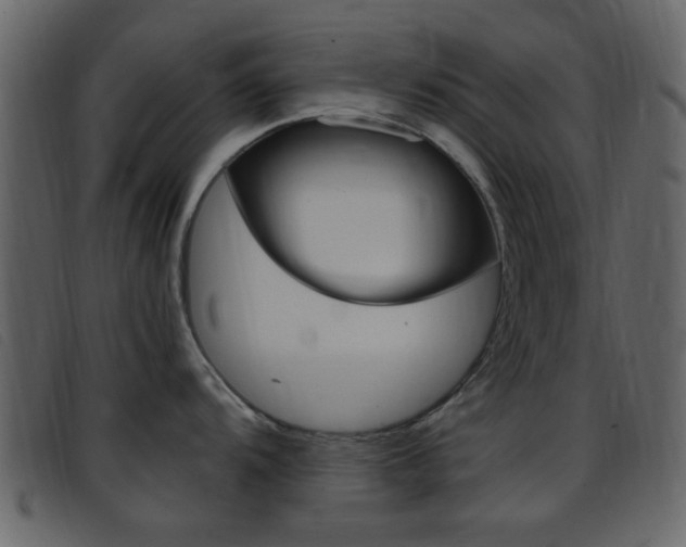 X0000096651104200802050928