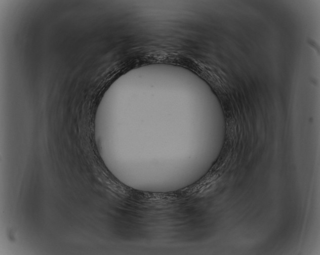 X0000096651105200802050927