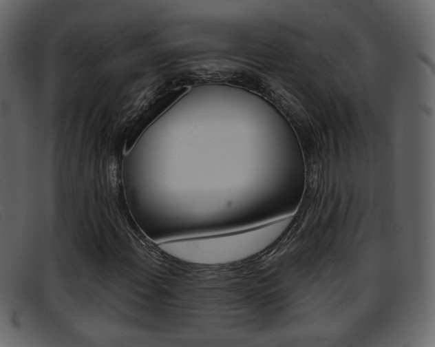 X0000096651108200802050927