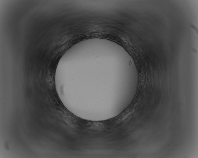 X0000096651109200802050927