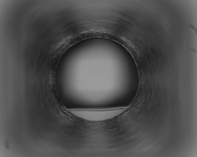 X0000096651110200802050927