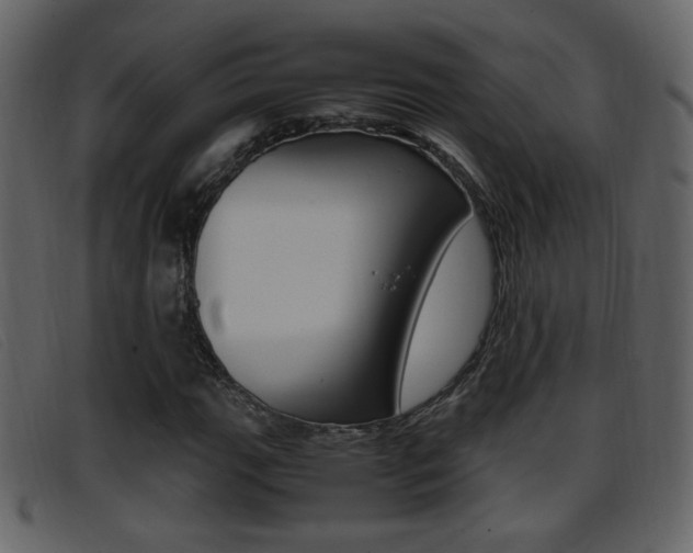 X0000096651111200802050927