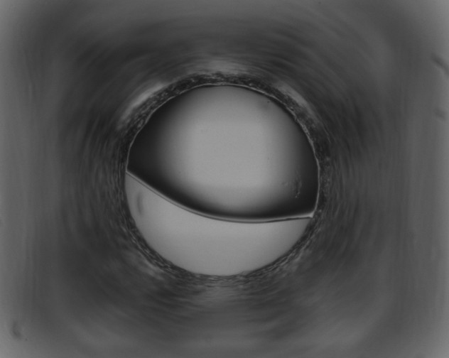 X0000096651112200802050927