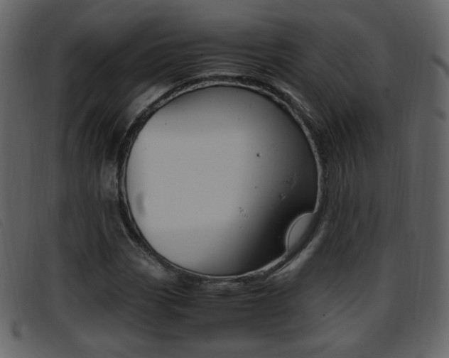 X0000096651113200802050927