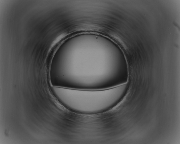 X0000096651114200802050927