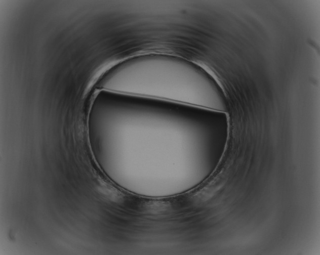 X0000096651115200802050928