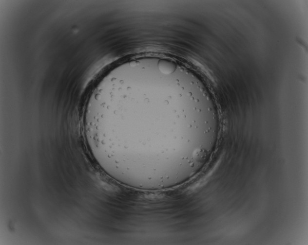 X0000096651117200802050928