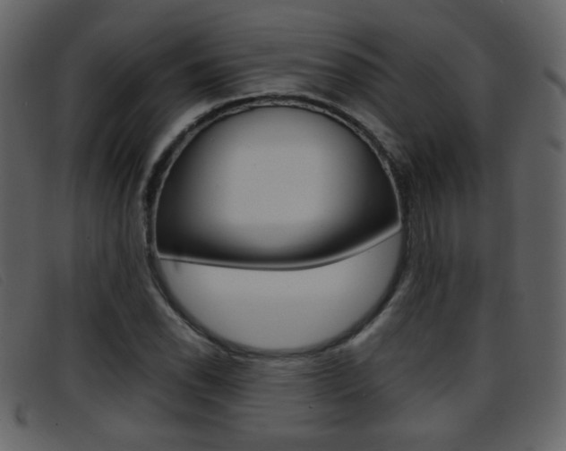 X0000096651118200802050928