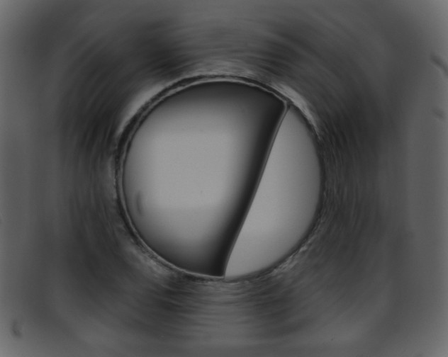 X0000096651120200802050928