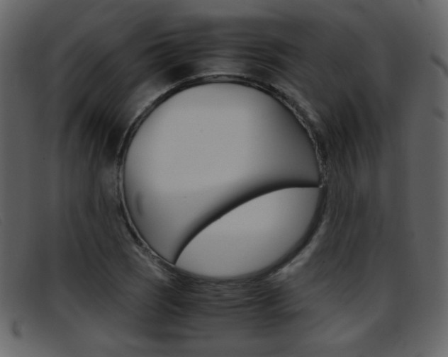 X0000096651121200802050928