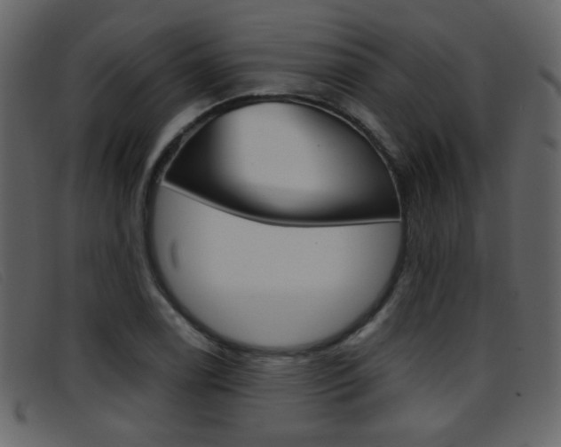 X0000096651122200802050928
