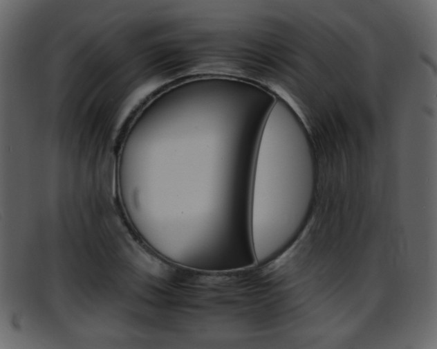 X0000096651123200802050928