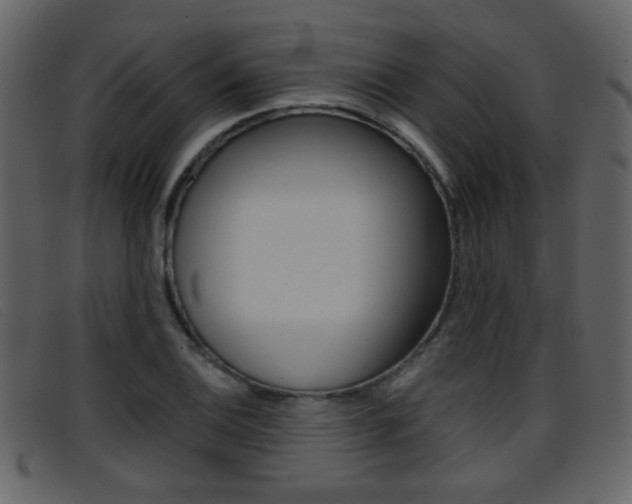 X0000096651124200802050928