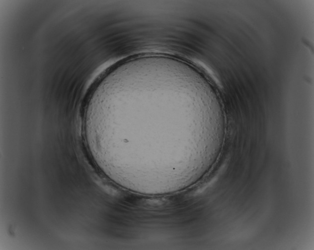 X0000096651125200802050928