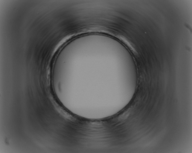 X0000096651126200802050928