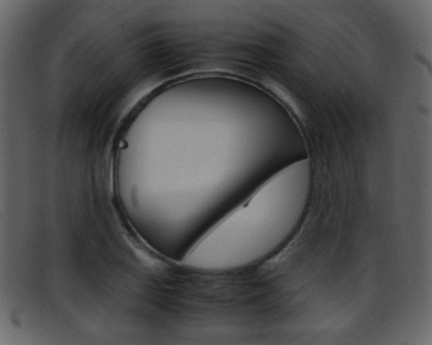 X0000096651127200802050928