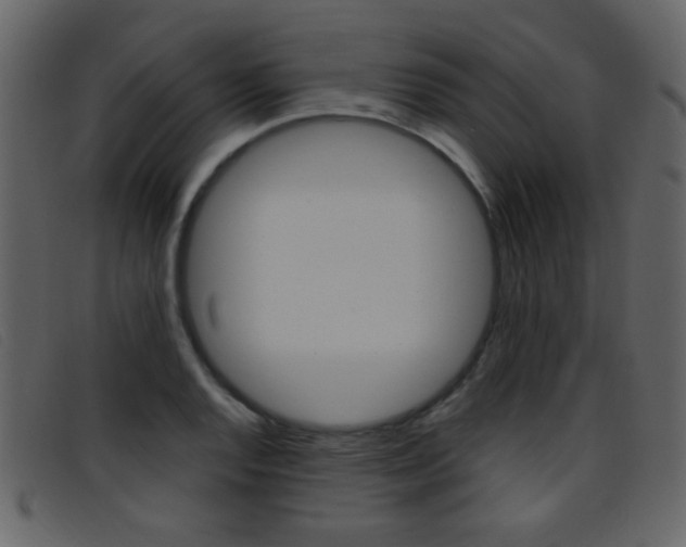 X0000096651128200802050928