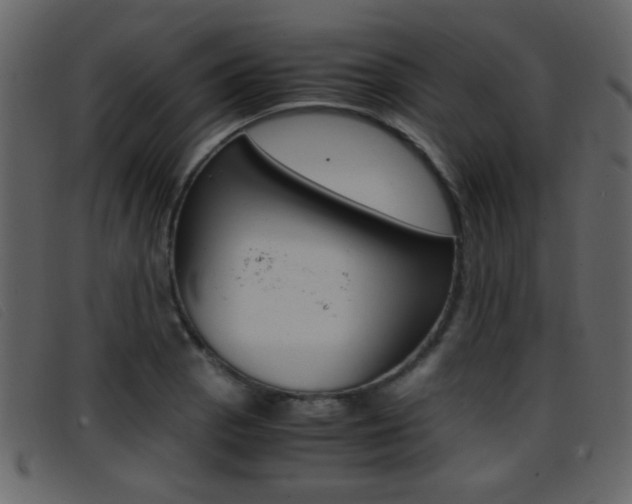 X0000096651129200802050928