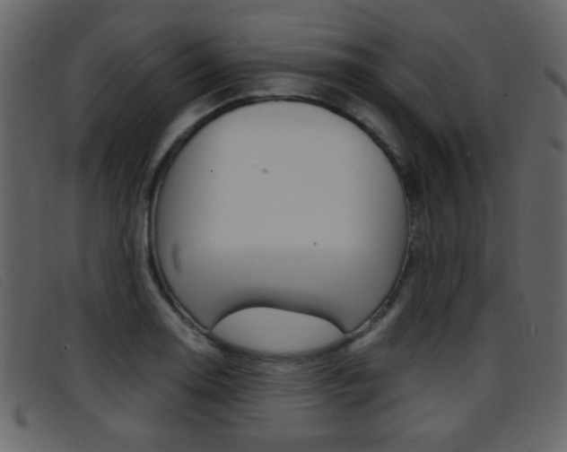 X0000096651130200802050928