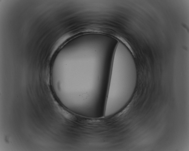 X0000096651131200802050928