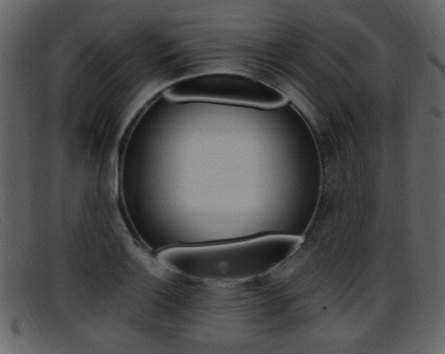 X0000096651132200802050928