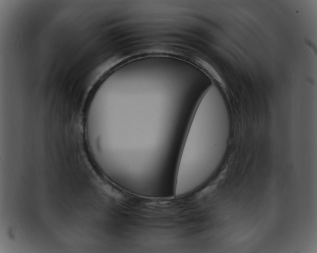 X0000096651133200802050928