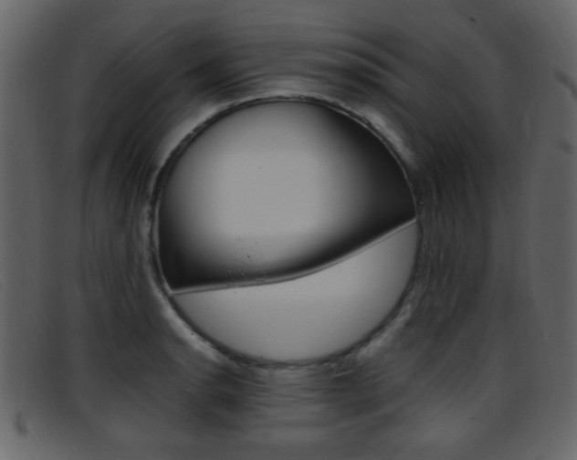 X0000096651134200802050928