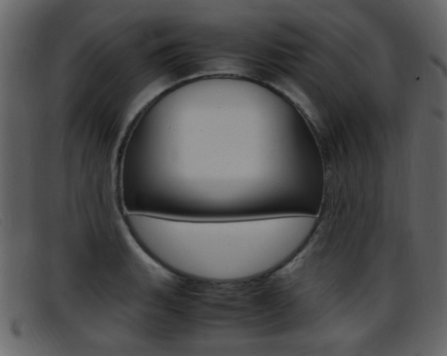 X0000096651135200802050928