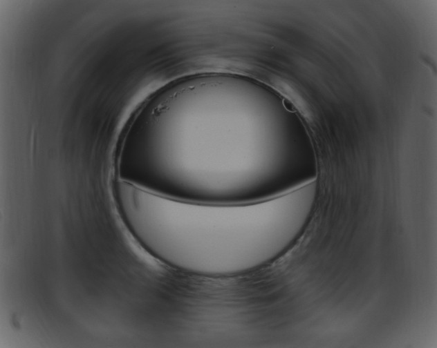 X0000096651136200802050928