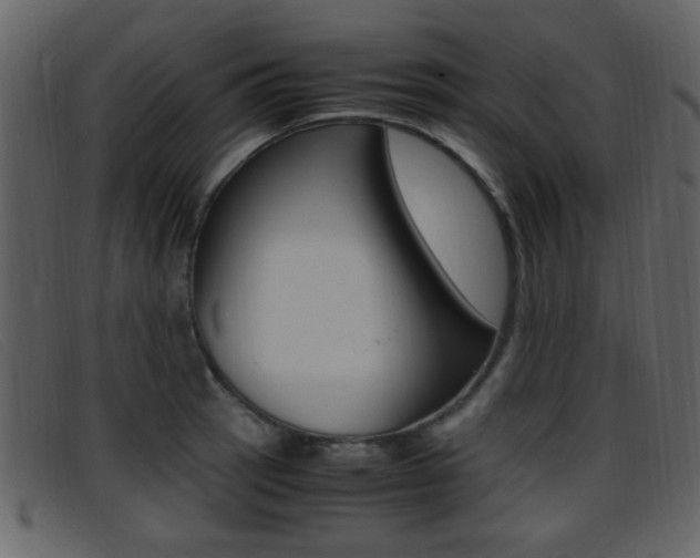 X0000096651137200802050928