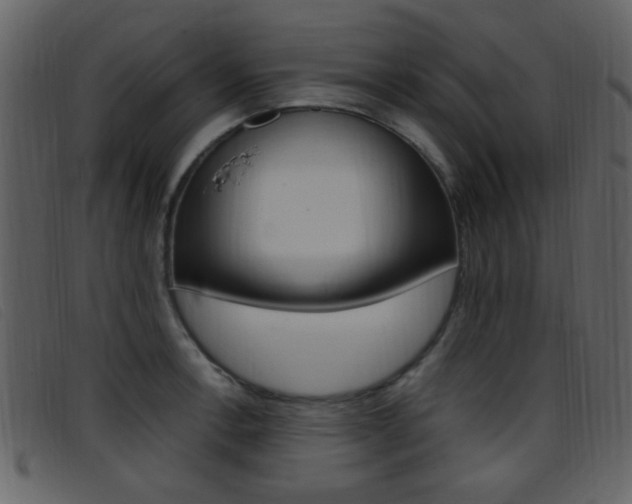 X0000096651138200802050928