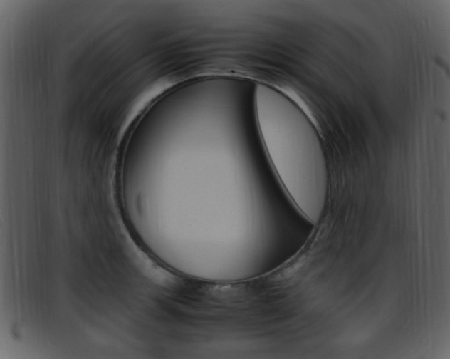 X0000096651139200802050928