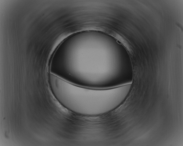 X0000096651140200802050928