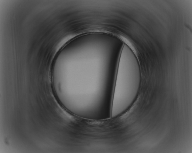 X0000096651141200802050928