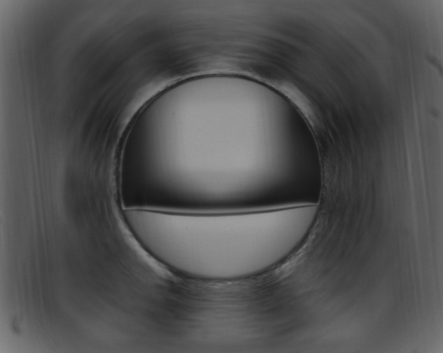 X0000096651142200802050928