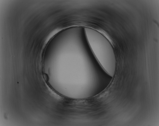 X0000096651143200802050928