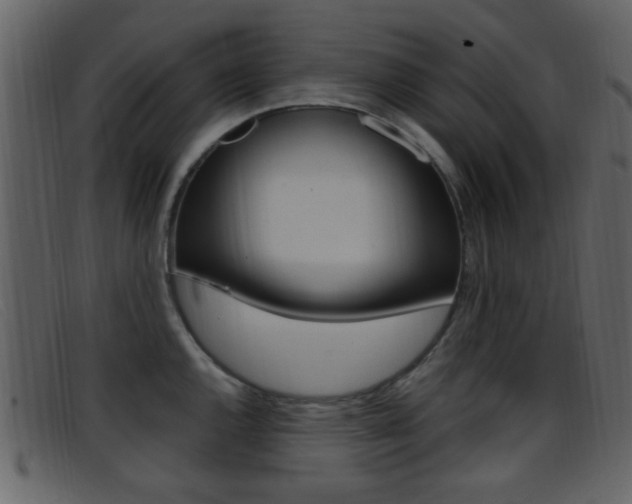 X0000096651144200802050928