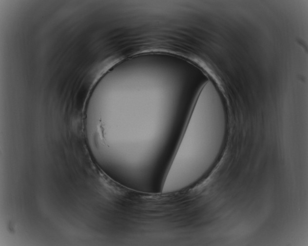 X0000096651145200802050928
