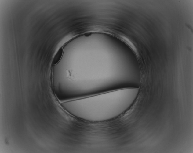 X0000096651146200802050928