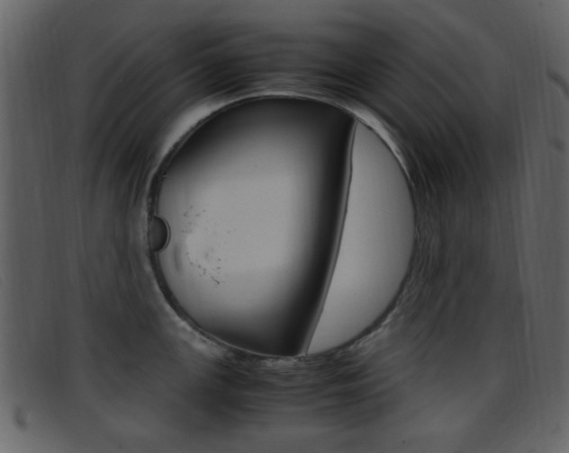 X0000096651147200802050928