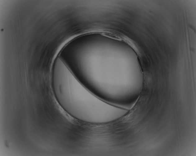 X0000096651148200802050928