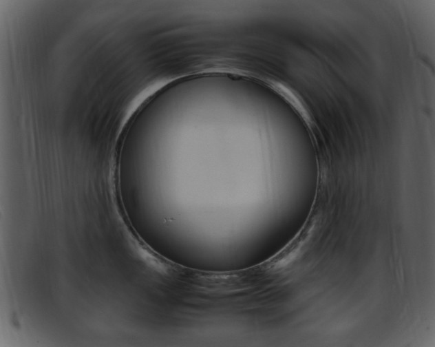 X0000096651149200802050928