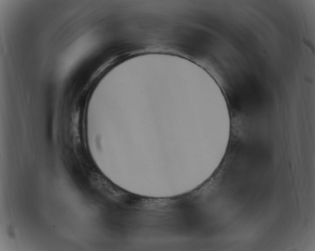 X0000096651150200802050928